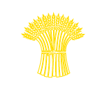 Logo TV Hüntwangen