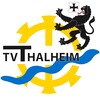 Logo TV Thalheim